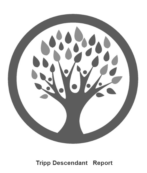 02-John Tripp2 Generation Table Report